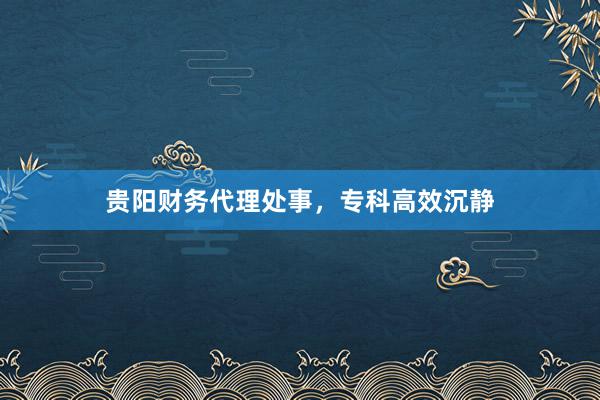 贵阳财务代理处事,专科高效沉静